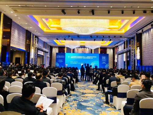 文化与旅游产业精品项目交流对接会在我市成功举办，文化艺术交流活动策划成焦点